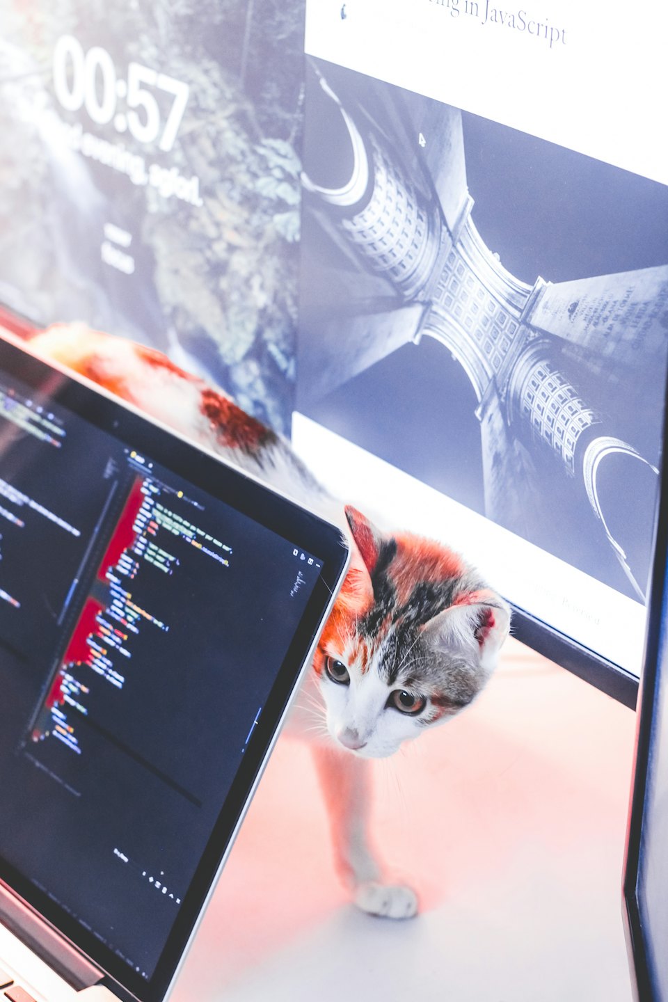 Calico kitten peeks from behind an open laptop computer.