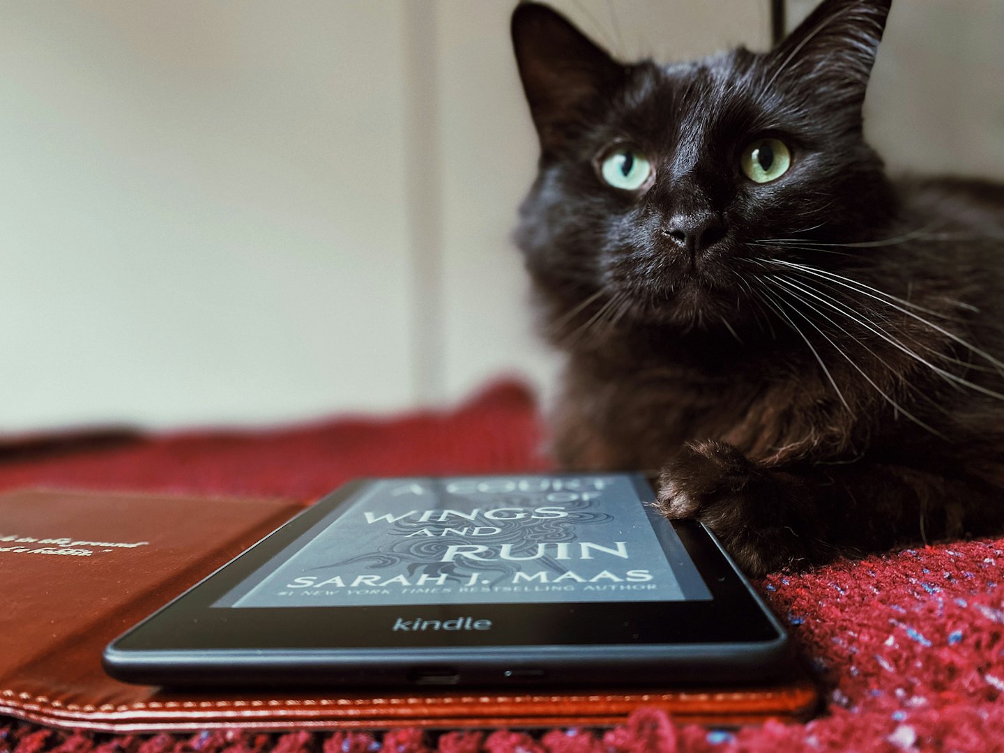Black cat with green eyes rests near an e-reader on a blanket.